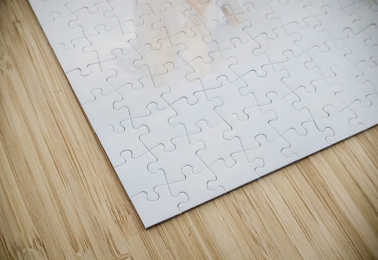 Ivory Passage Maureen Noce Photography Puzzle