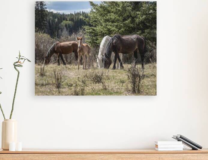 A Piece of Something Bigger by Maureen Noce Photography