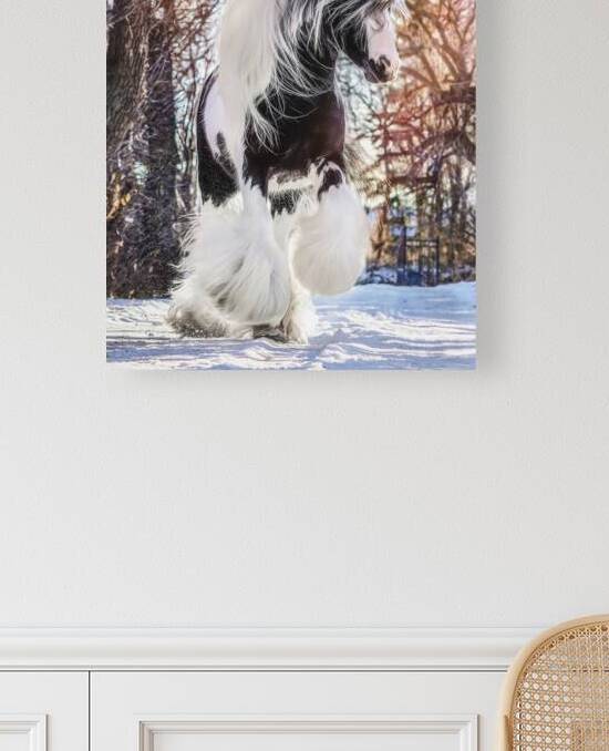 Be Brave Enough To Dream by Maureen Noce Photography