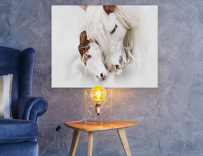 A Mother s Love by Maureen Noce Photography