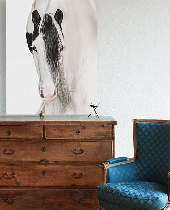 Defined Elegance by Maureen Noce Photography