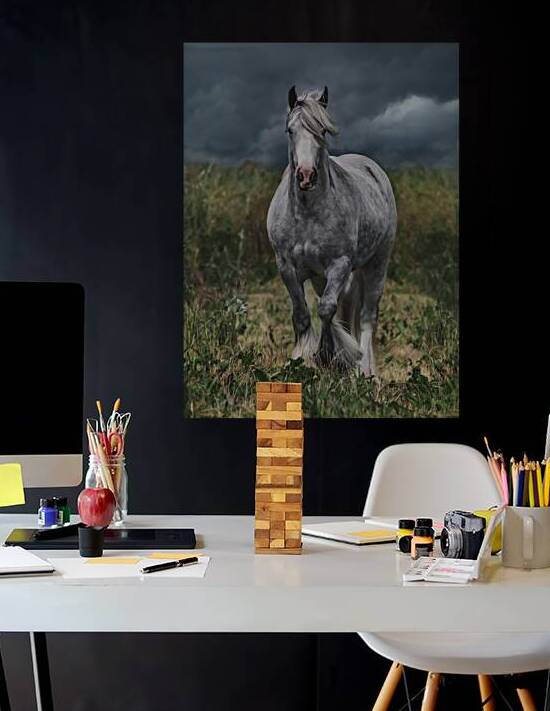 Dont stop by Maureen Noce Photography