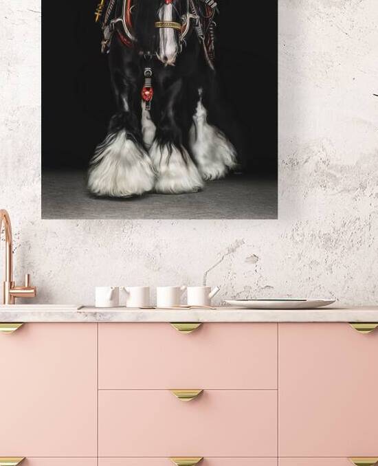 Dressed for Success by Maureen Noce Photography