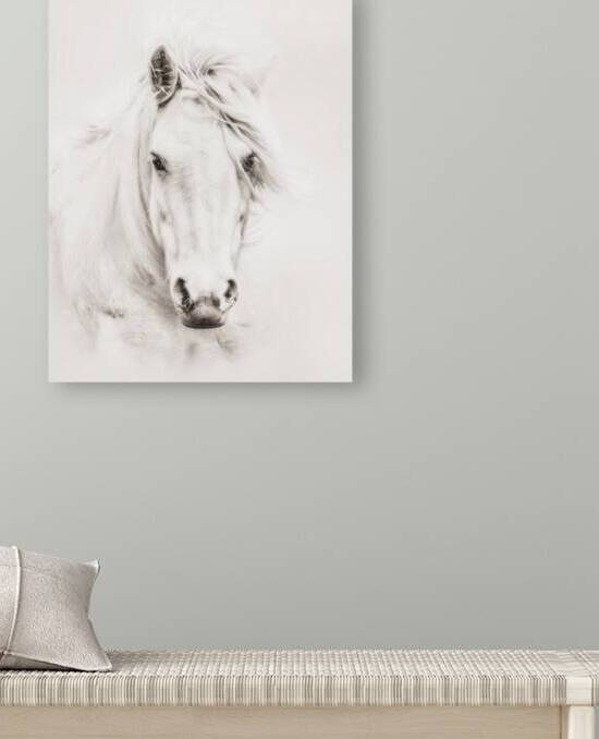 Soulful by Maureen Noce Photography