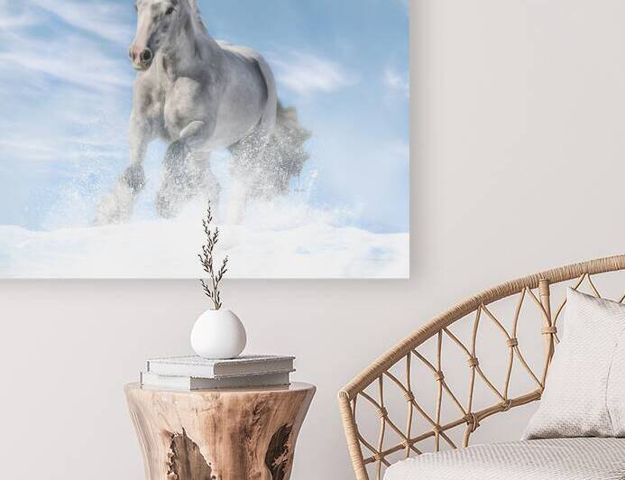 Joy in the Sky by Maureen Noce Photography