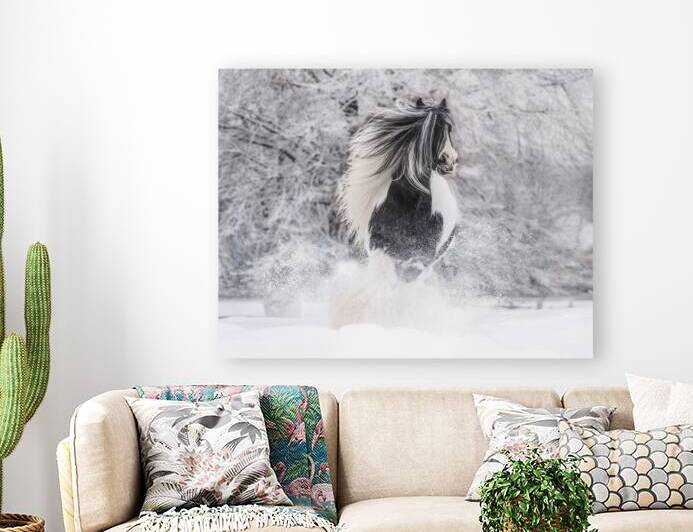 First Snow by Maureen Noce Photography