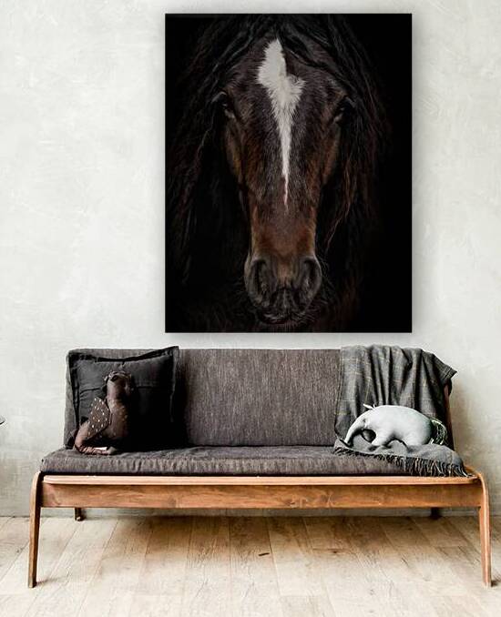 Embers in the Dark by Maureen Noce Photography