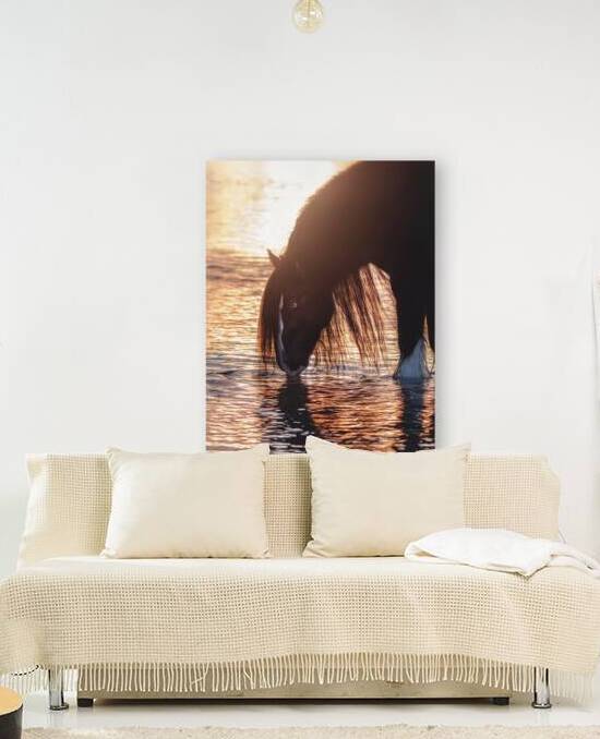 Quiet Reflection by Maureen Noce Photography