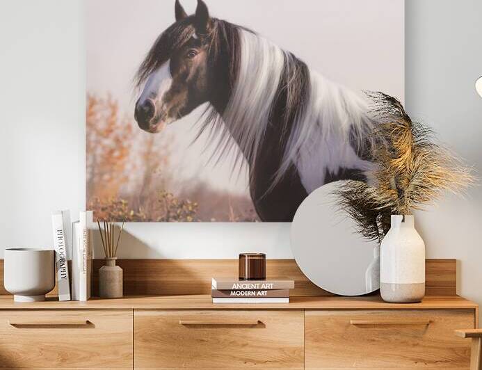 Silent Gaze by Maureen Noce Photography