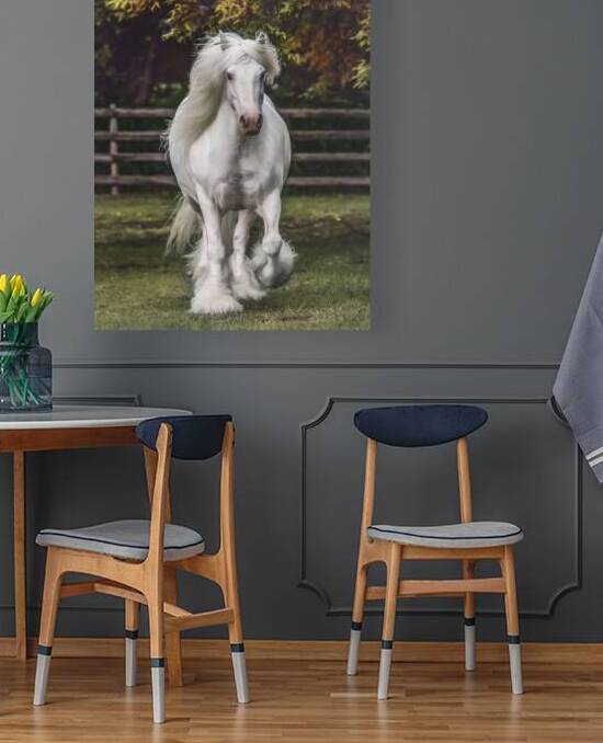 The Heart Knows by Maureen Noce Photography