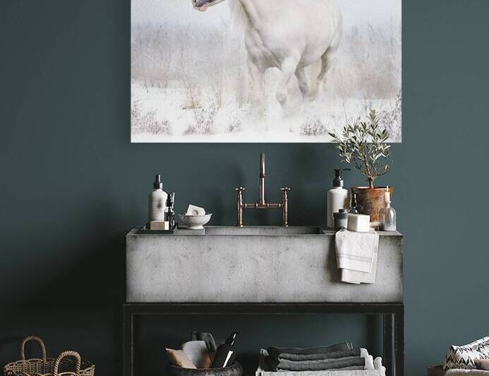 Winters Whisper by Maureen Noce Photography