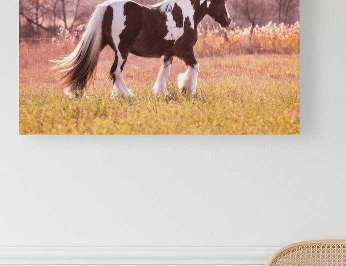 Sunlit Treasures by Maureen Noce Photography