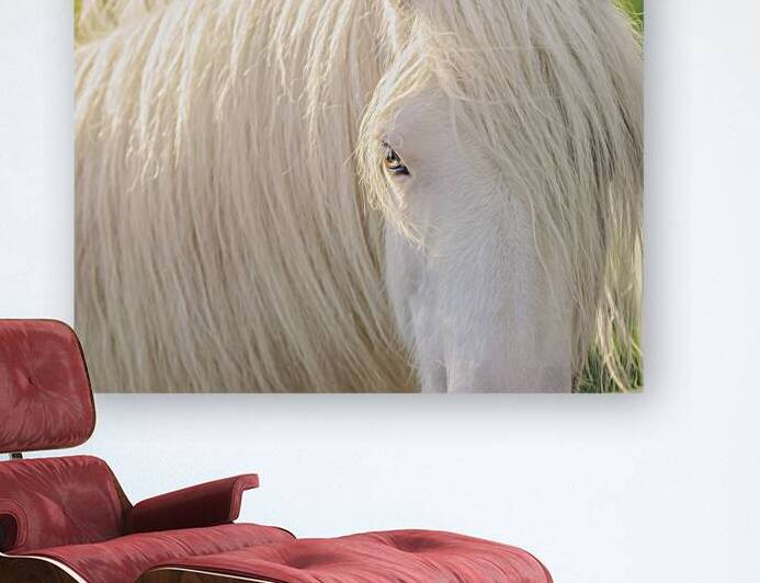 A Moment In Time by Maureen Noce Photography