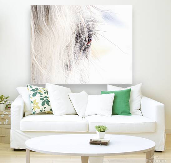 A Quiet Gaze by Maureen Noce Photography