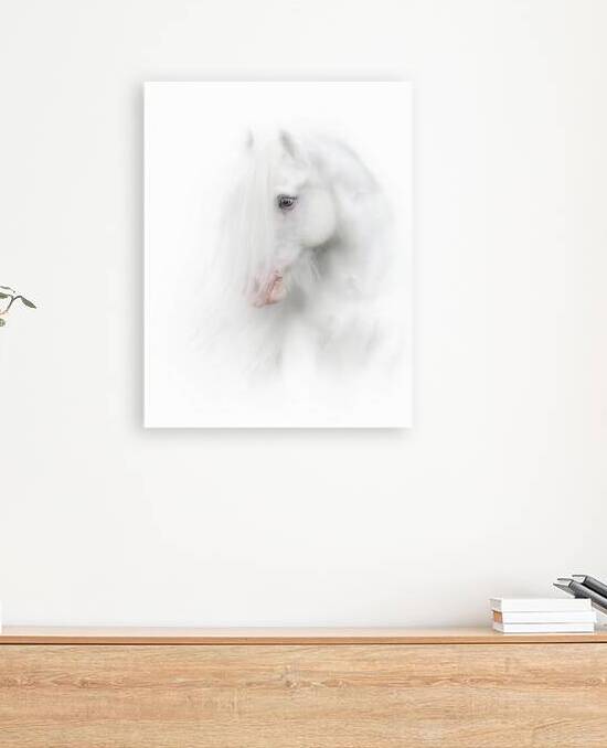 Angel by Maureen Noce Photography