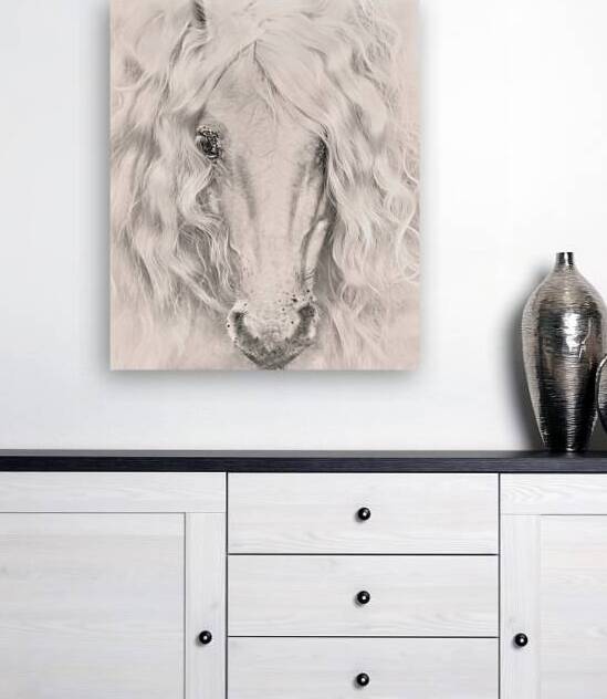 Dear Anna by Maureen Noce Photography