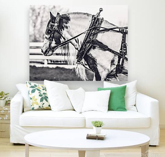 Determination by Maureen Noce Photography