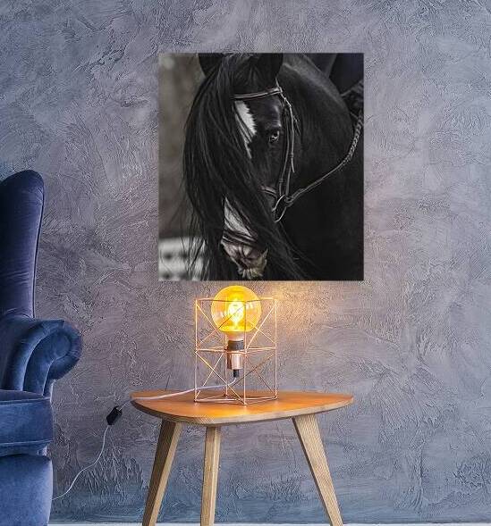 Discipline by Maureen Noce Photography