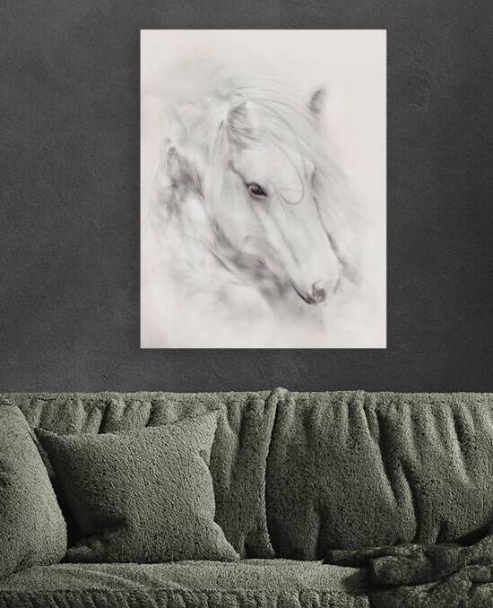 Fairytale Dreams by Maureen Noce Photography