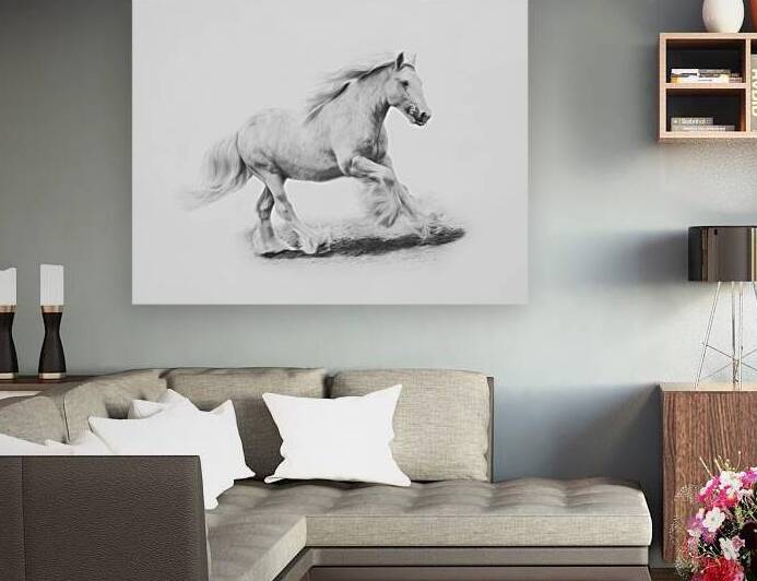 Unbridled Joy by Maureen Noce Photography