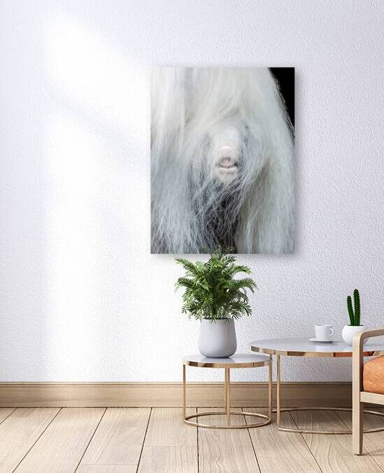 Having Fun by Maureen Noce Photography