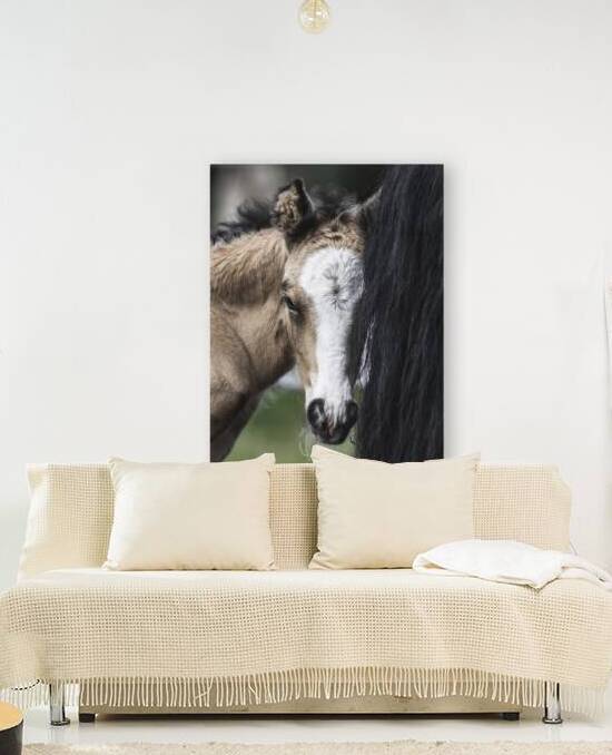 I See You by Maureen Noce Photography