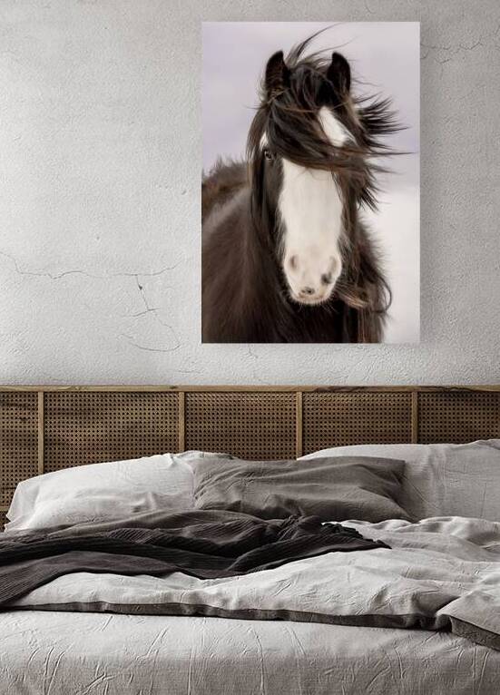 Unveiled by Maureen Noce Photography