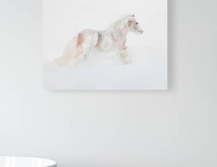 Ivory Passage by Maureen Noce Photography