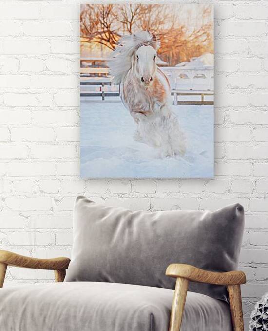 Throught the Silence by Maureen Noce Photography