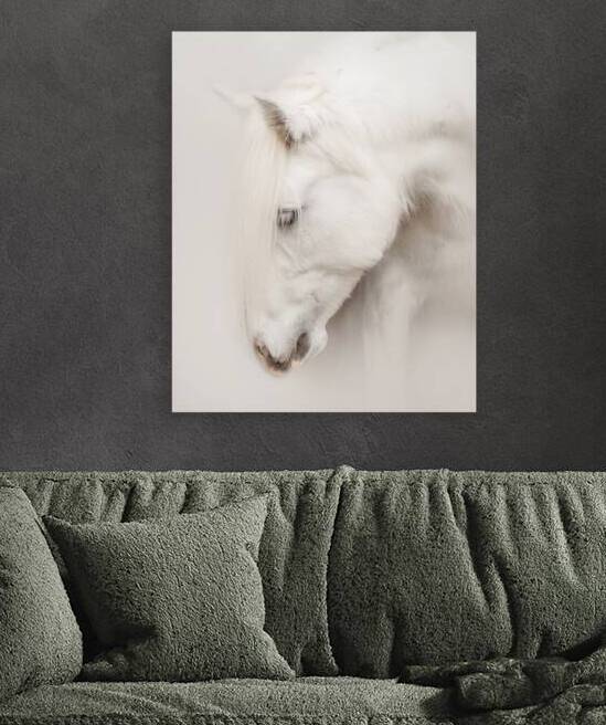 QuietGrace by Maureen Noce Photography