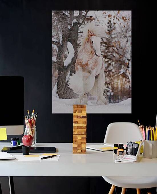 WinterLight by Maureen Noce Photography