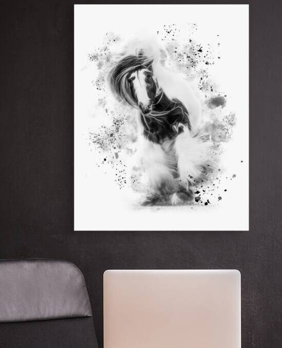 BreakFree by Maureen Noce Photography