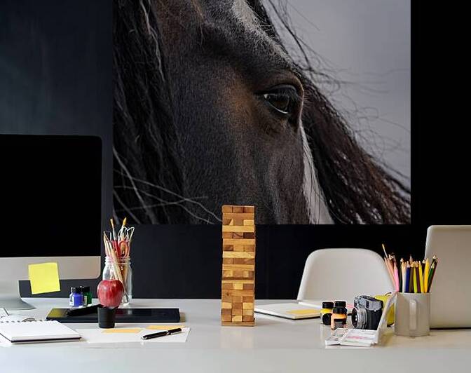 Unspoken by Maureen Noce Photography